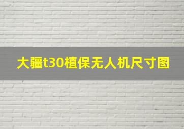 大疆t30植保无人机尺寸图