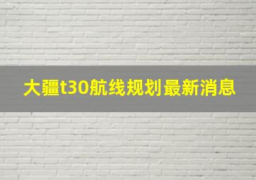 大疆t30航线规划最新消息