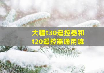 大疆t30遥控器和t20遥控器通用嘛