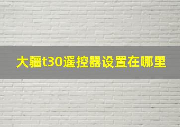 大疆t30遥控器设置在哪里