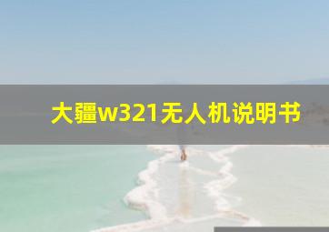 大疆w321无人机说明书