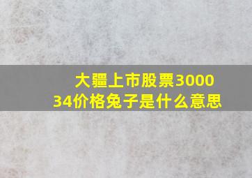 大疆上市股票300034价格兔子是什么意思