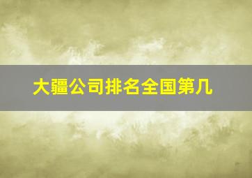 大疆公司排名全国第几