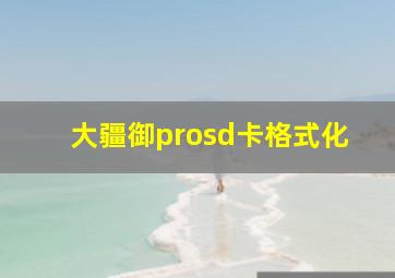 大疆御prosd卡格式化