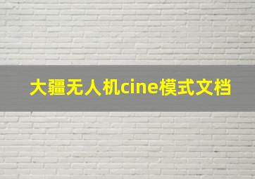 大疆无人机cine模式文档