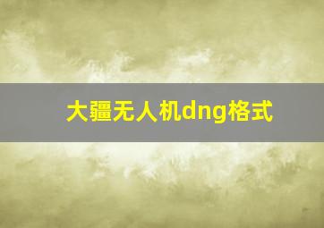 大疆无人机dng格式