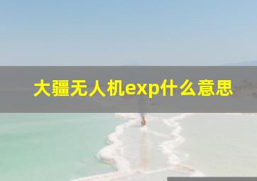 大疆无人机exp什么意思