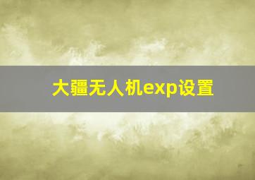 大疆无人机exp设置