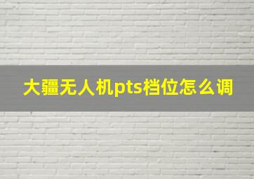 大疆无人机pts档位怎么调