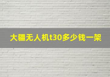 大疆无人机t30多少钱一架