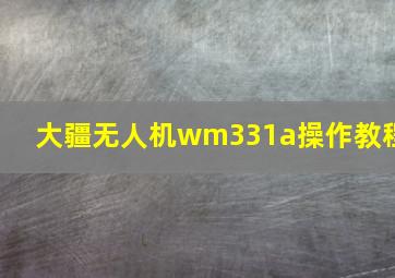 大疆无人机wm331a操作教程