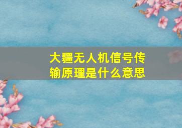 大疆无人机信号传输原理是什么意思