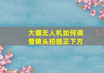 大疆无人机如何调整镜头拍摄正下方