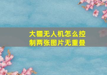 大疆无人机怎么控制两张图片无重叠