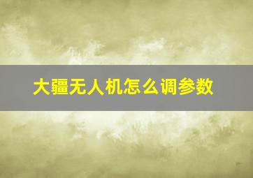 大疆无人机怎么调参数