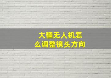 大疆无人机怎么调整镜头方向