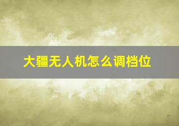 大疆无人机怎么调档位