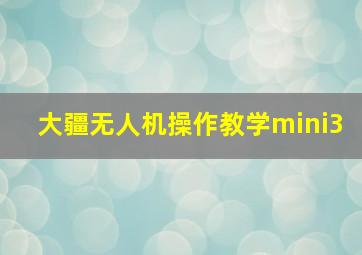 大疆无人机操作教学mini3