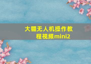 大疆无人机操作教程视频mini2