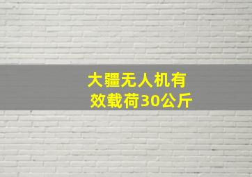 大疆无人机有效载荷30公斤