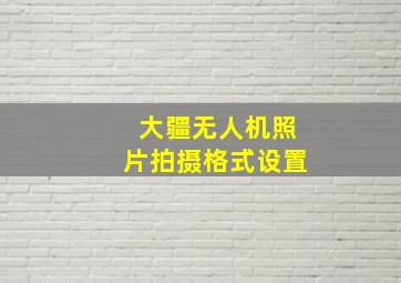 大疆无人机照片拍摄格式设置