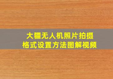 大疆无人机照片拍摄格式设置方法图解视频