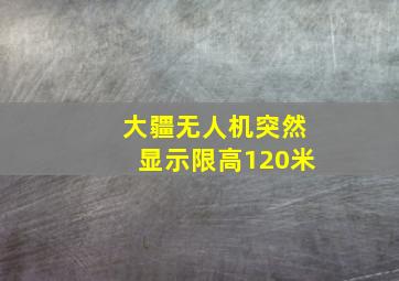 大疆无人机突然显示限高120米