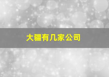 大疆有几家公司