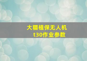 大疆植保无人机t30作业参数