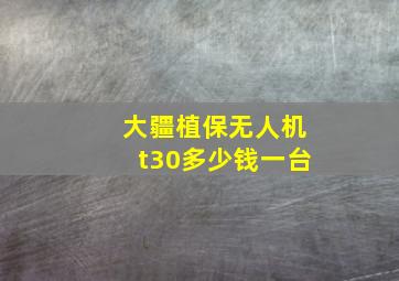 大疆植保无人机t30多少钱一台