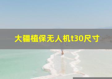 大疆植保无人机t30尺寸