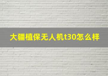 大疆植保无人机t30怎么样