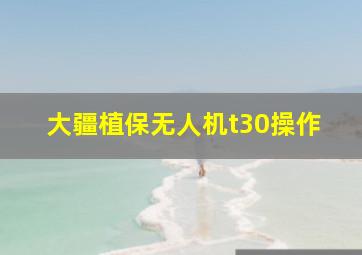 大疆植保无人机t30操作