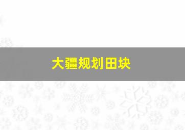 大疆规划田块