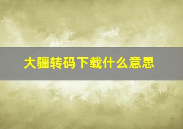 大疆转码下载什么意思