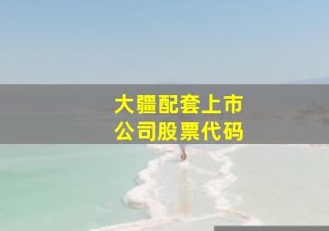 大疆配套上市公司股票代码