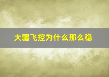 大疆飞控为什么那么稳