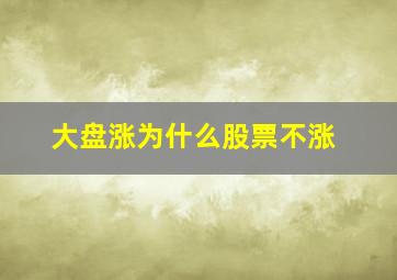 大盘涨为什么股票不涨