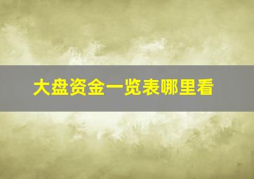 大盘资金一览表哪里看