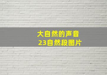 大自然的声音23自然段图片