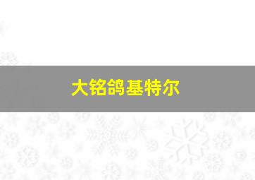 大铭鸽基特尔