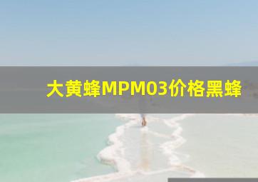 大黄蜂MPM03价格黑蜂