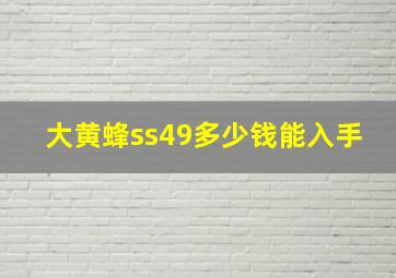 大黄蜂ss49多少钱能入手