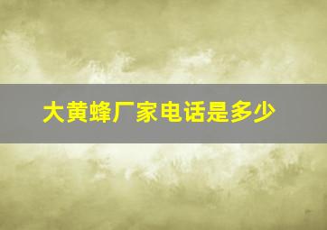 大黄蜂厂家电话是多少