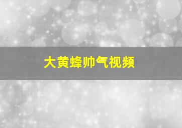 大黄蜂帅气视频