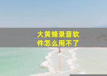 大黄蜂录音软件怎么用不了