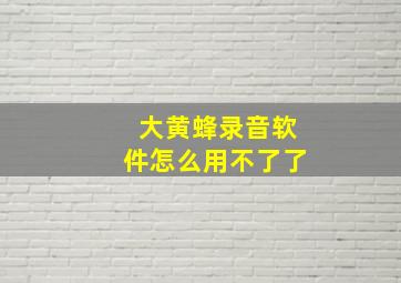 大黄蜂录音软件怎么用不了了