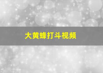 大黄蜂打斗视频