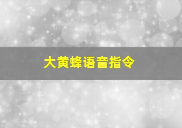 大黄蜂语音指令