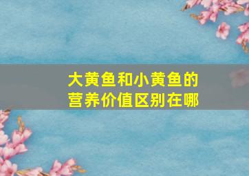 大黄鱼和小黄鱼的营养价值区别在哪